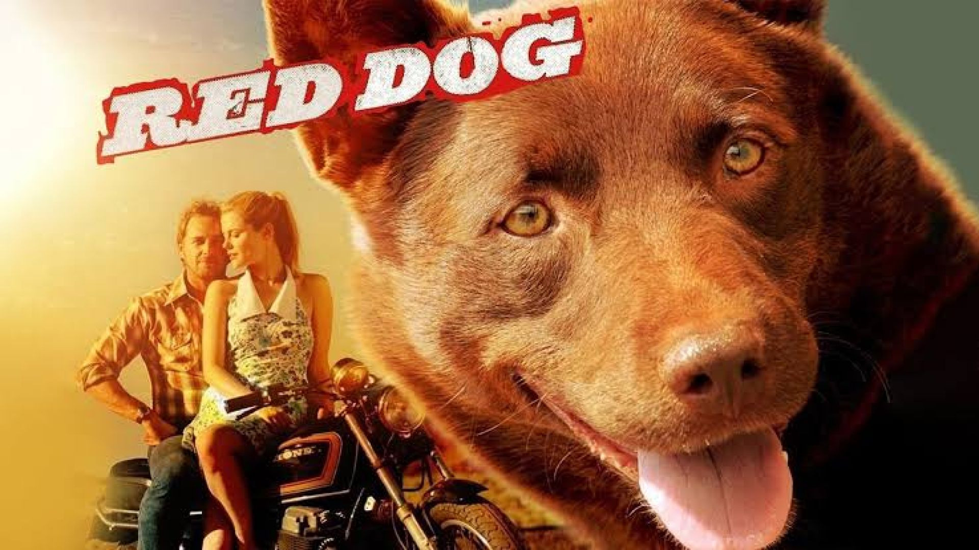 Red Dog (2011)